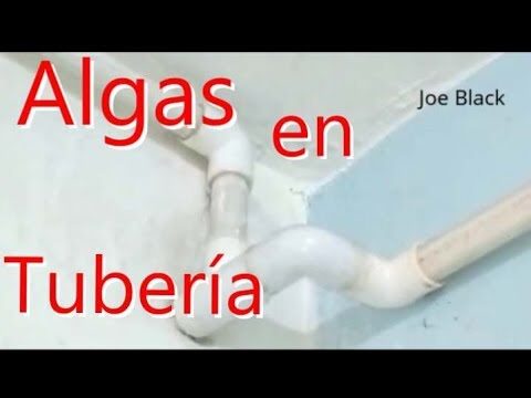Claves para Mantener Limpio el Jacuzzi y Prevenir Residuos