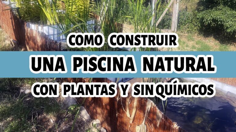 Sostenibilidad en la Fabricaci&oacute;n de Jacuzzis: Innovaciones y Pr&aacute;cticas Ecol&oacute;gicas