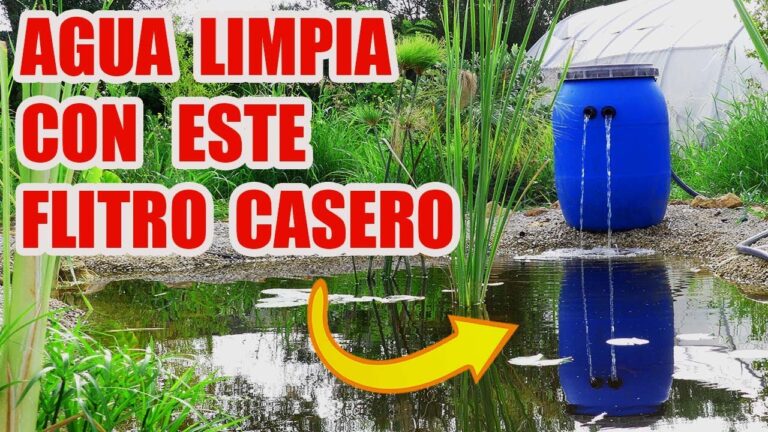 Mantenimiento Sencillo para tu Jacuzzi Artesanal