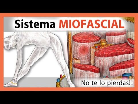 Enfoque Holístico en Fisioterapia para Aliviar Dolores Musculares