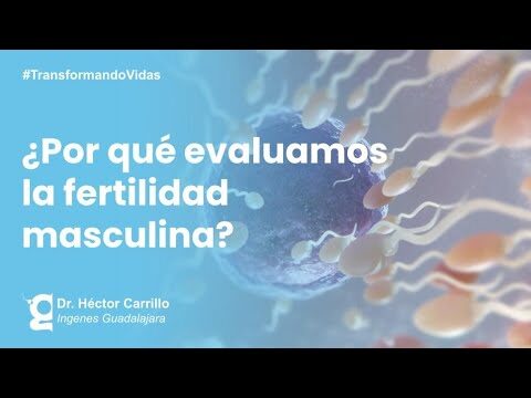 La importancia del diagn&oacute;stico de infertilidad en el embarazo