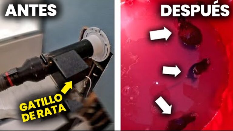 Jacuzzis Hechos a Mano con Entrega R&aacute;pida