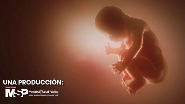 Etapas del Embarazo: Guía para la Educación Maternal
