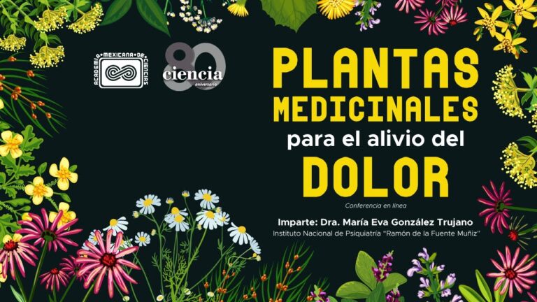 Plantas Medicinales para Aliviar Dolores Musculares