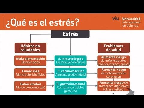 Inicio