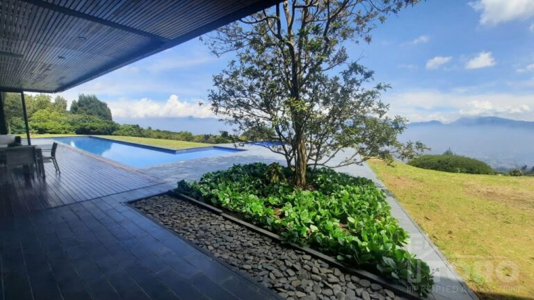 Jacuzzis de Madera: Elegancia Natural en Tu Espacio