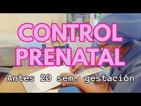 Control Prenatal en el Primer Trimestre del Embarazo